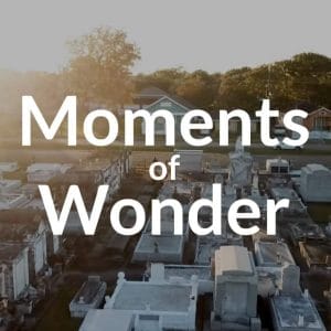 Moments of Wonder
